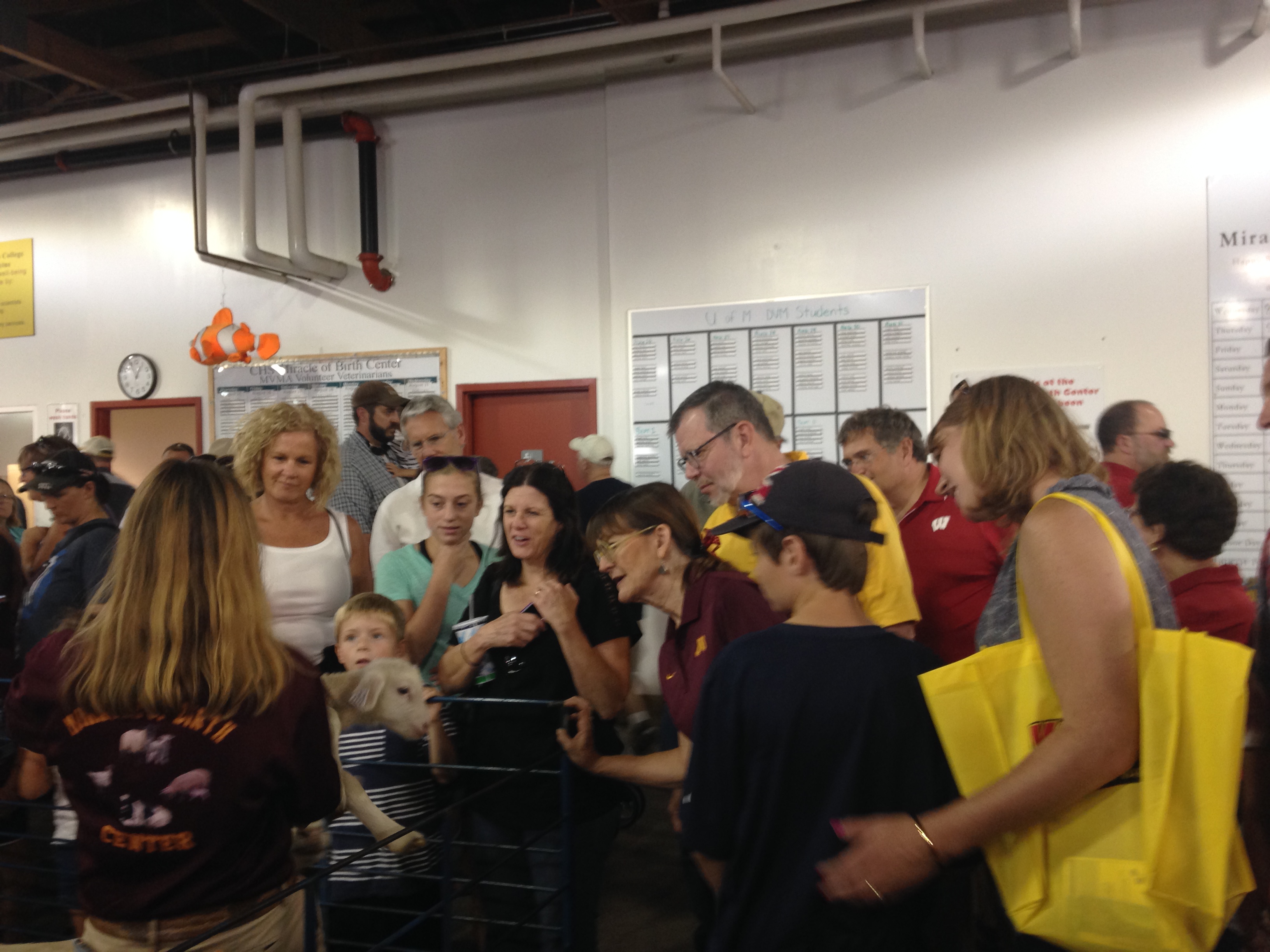 Miracle of Birth center success at the 2016 Minnesota State Fair