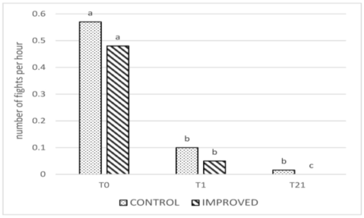 Sow Behaviour Graph Summary: The role of environmental enrichment and back fat depth in the ...